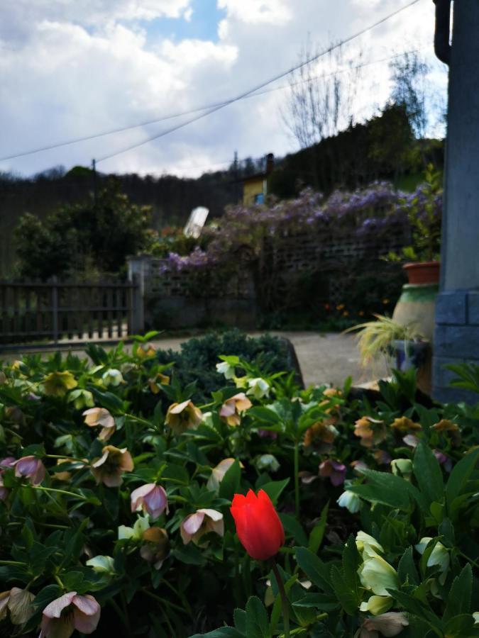 La Quiete Nel Verde Boves 外观 照片